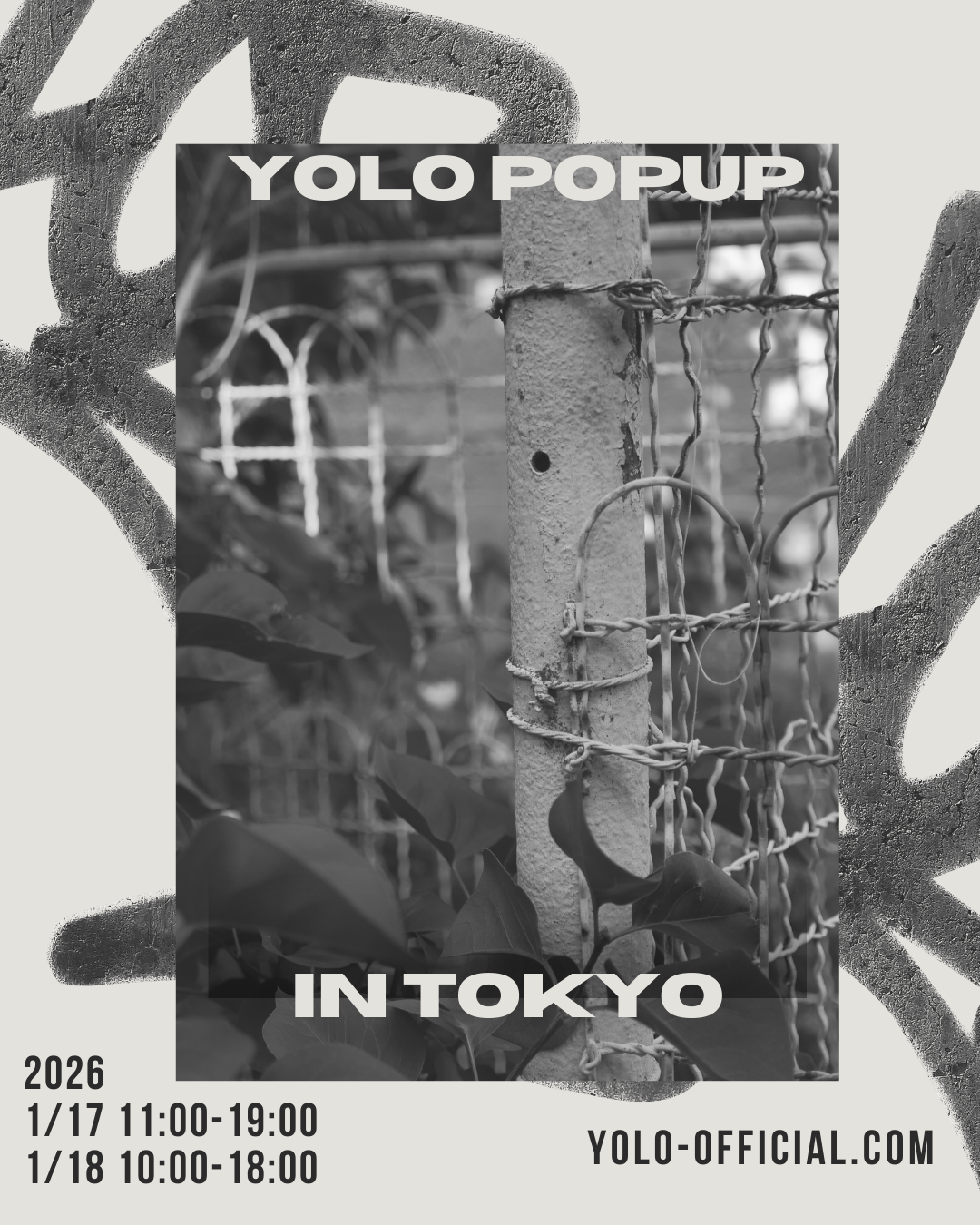 YOLO ポップアップ PP0003