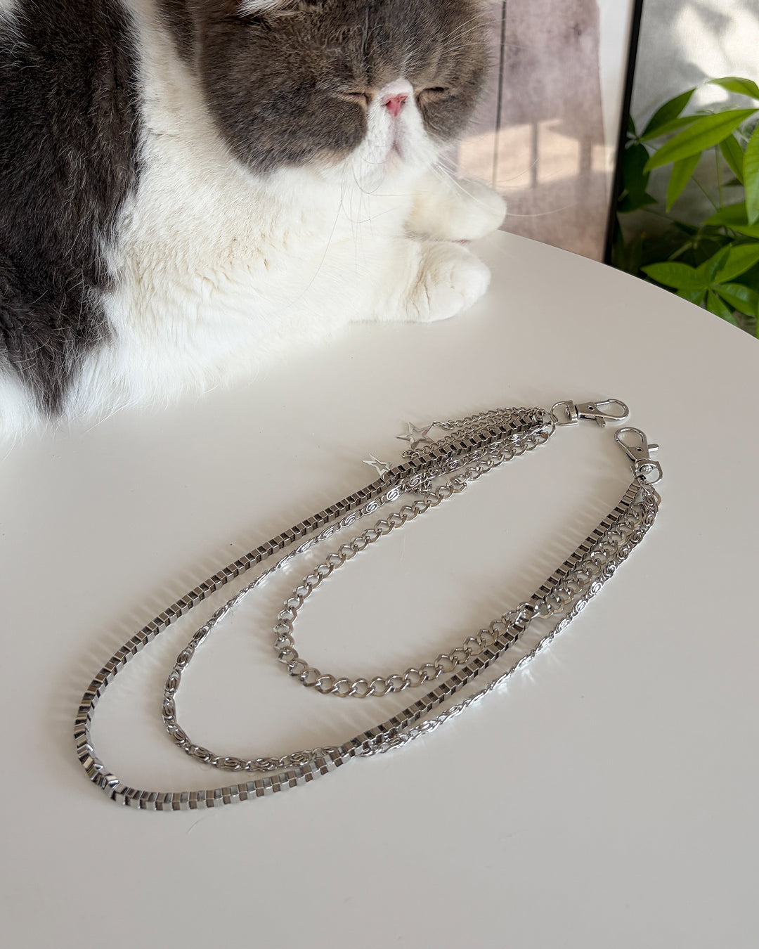 スターポイントウエストチェーン CH2026