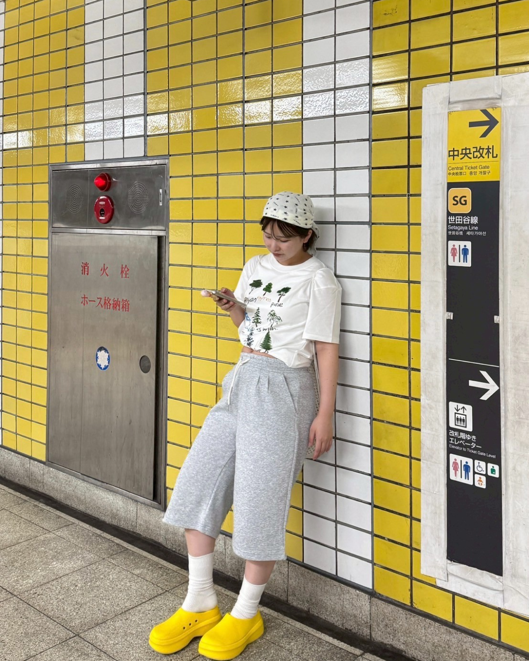 ツリープリントTシャツ HD0013