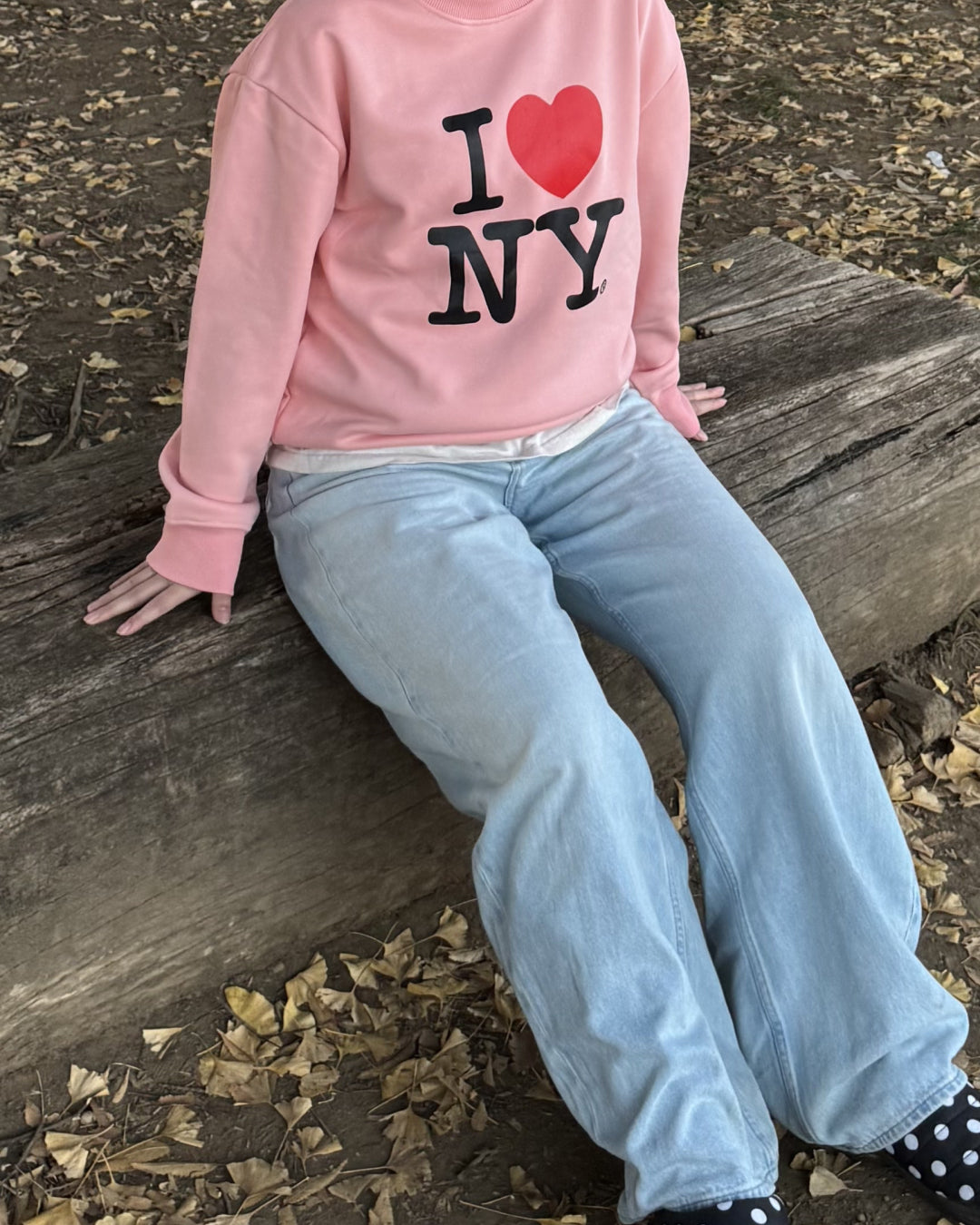 フロントロゴプルオーバー HD0079