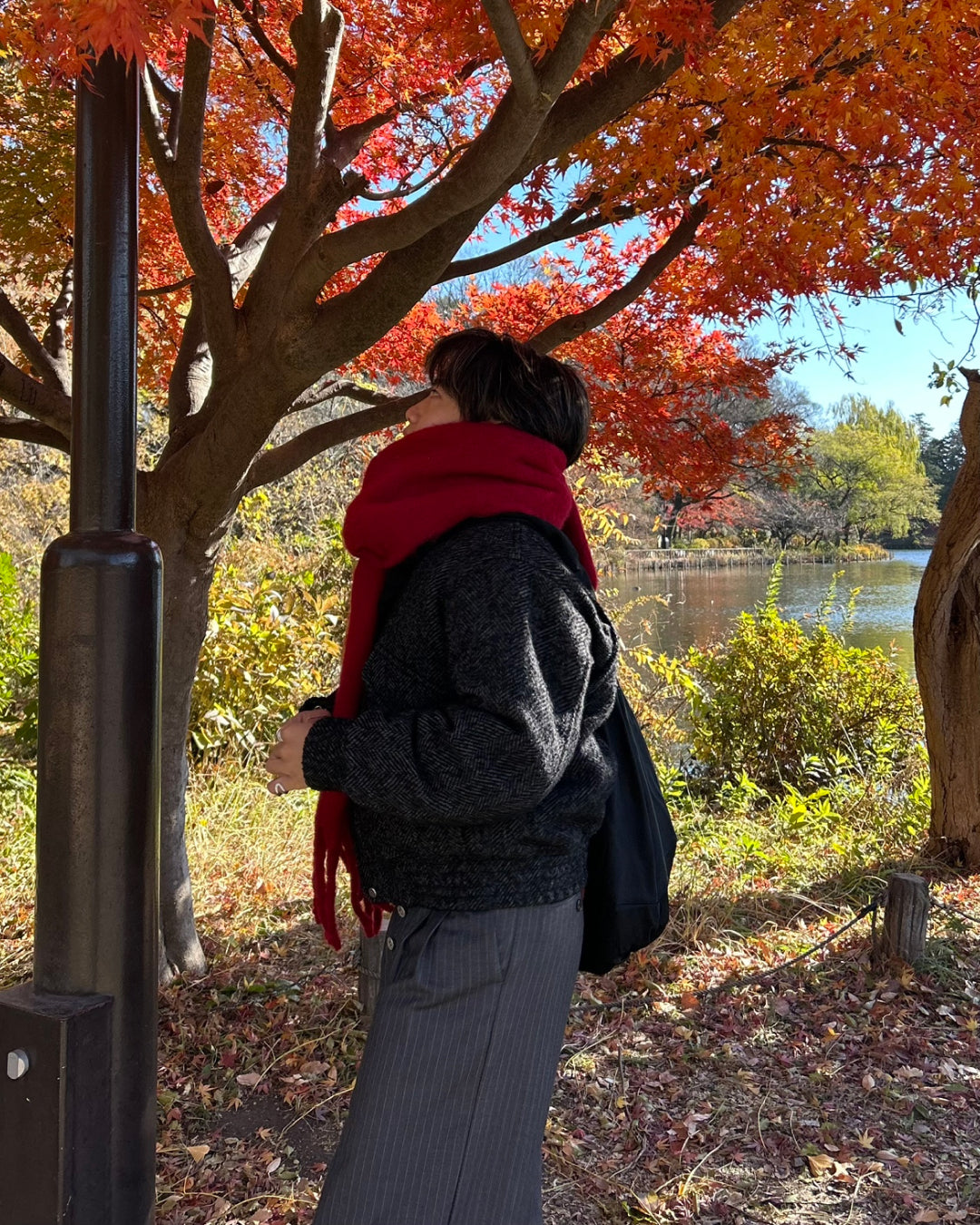 【即納】カラービックマフラー RG5013