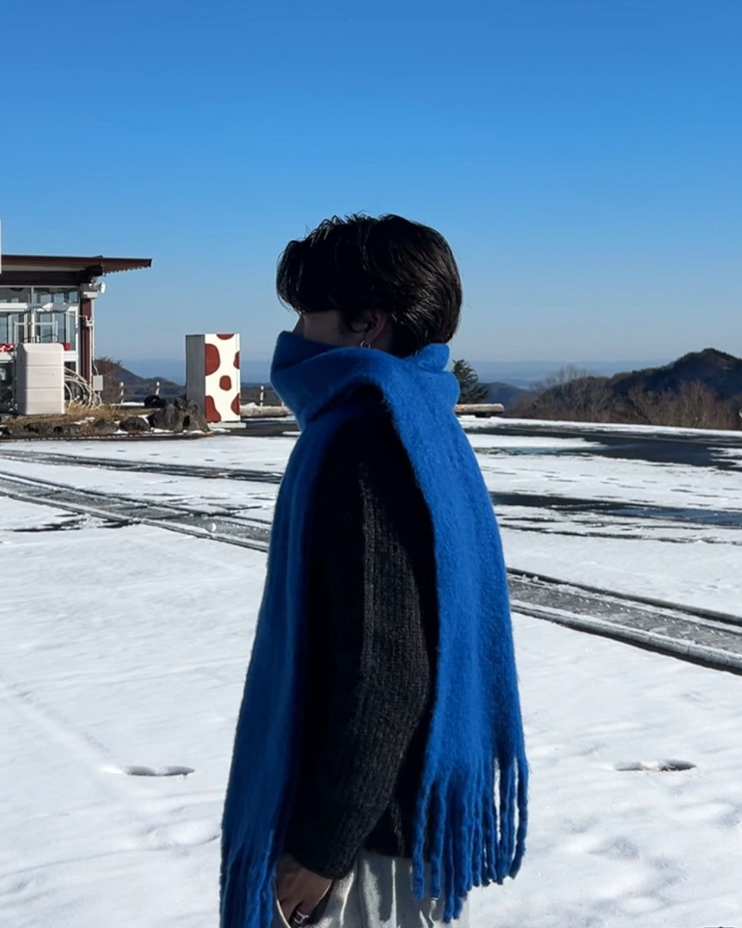 【即納】カラービックマフラー RG5013