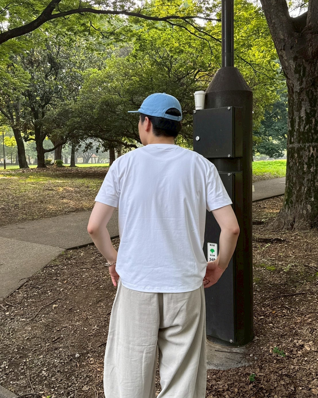 サンフラワーTシャツ ZD0017