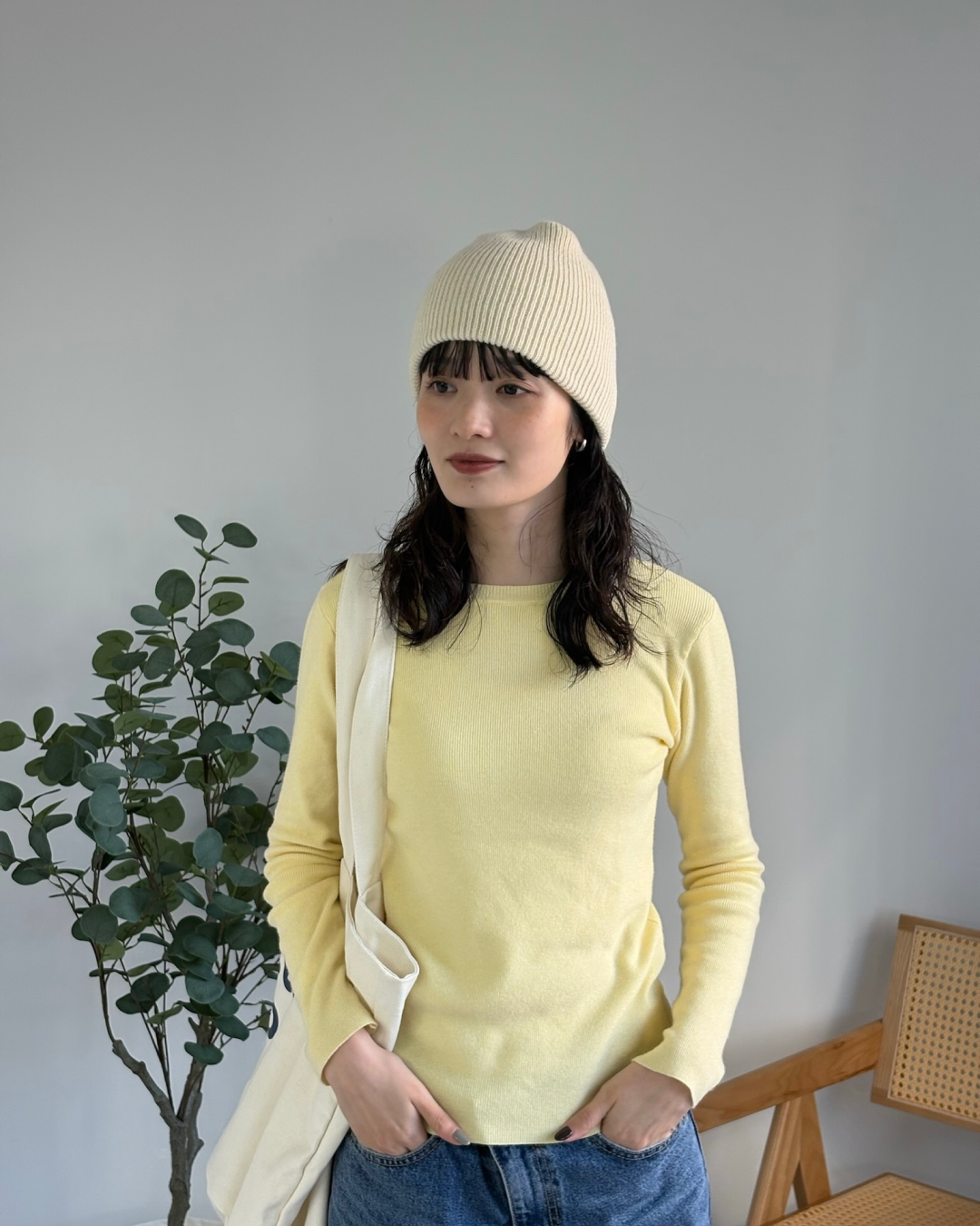 プルオーバービーニー AA0020