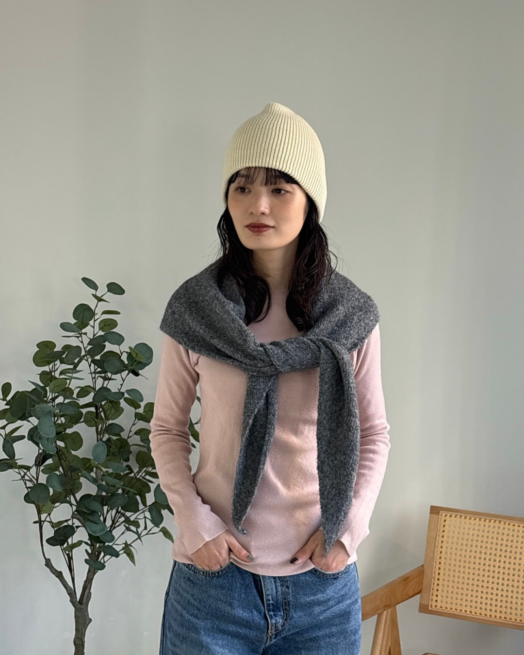 プルオーバービーニー AA0020