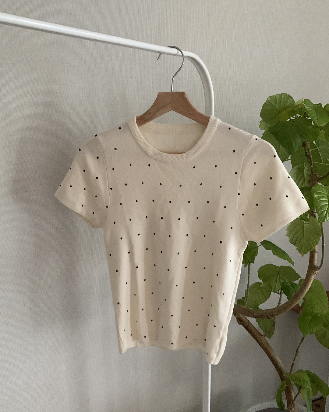ラウンドネック水玉Tシャツ AY1292