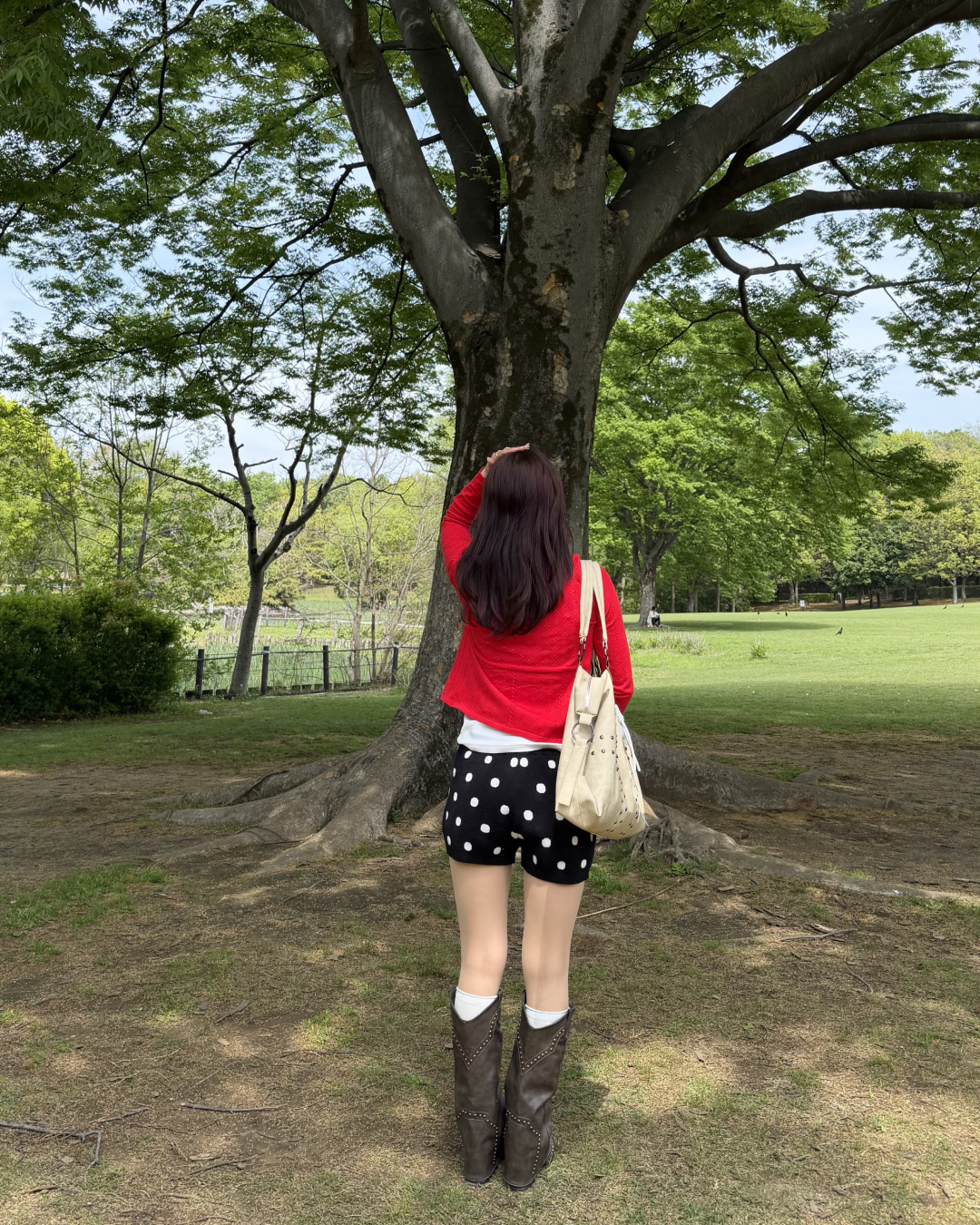 ポルカドットニットショートパンツ　BB0019