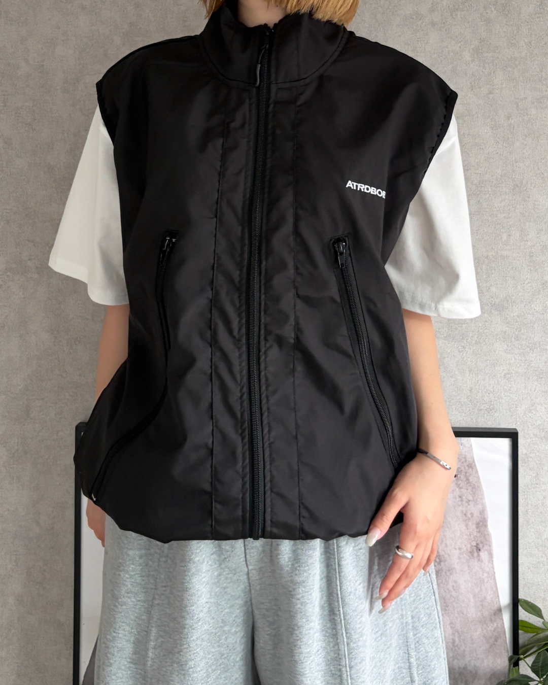 テックベスト CH2223