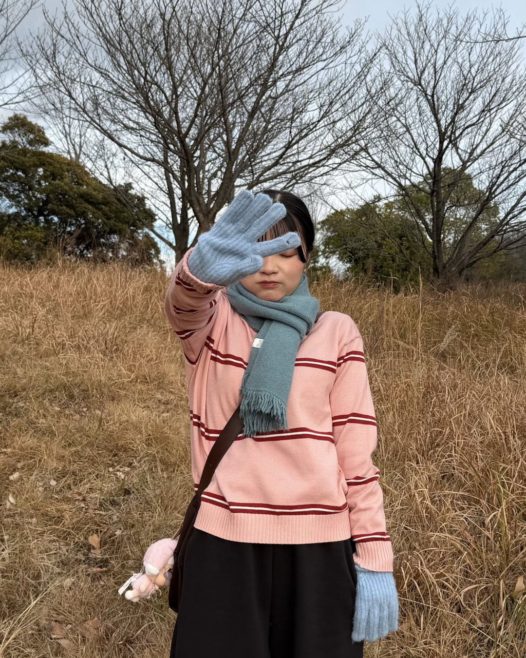 ストライプハーフジップニット GG0076