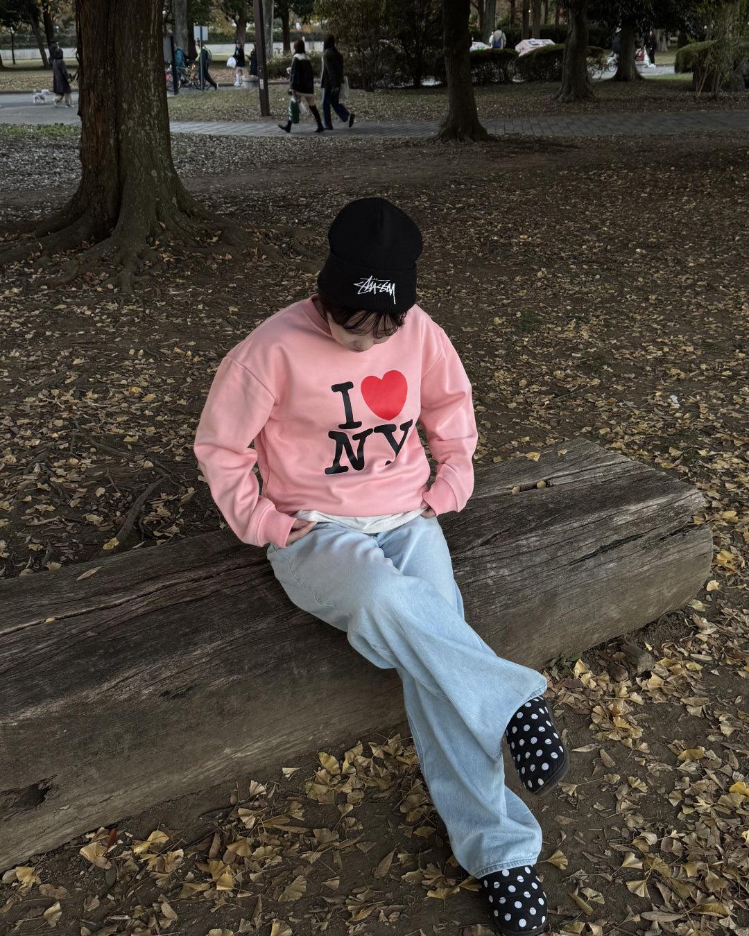 フロントロゴプルオーバー HD0079