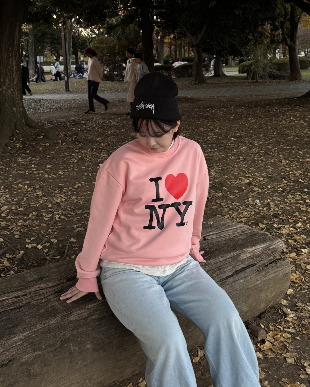 フロントロゴプルオーバー HD0079