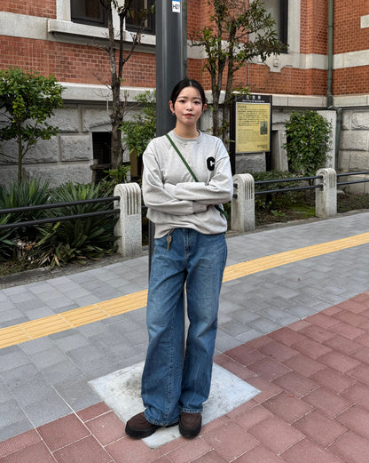 プルオーバースウェット Y1671