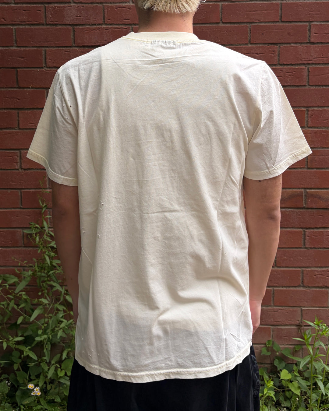 ダメージレタリングTシャツ MO3099