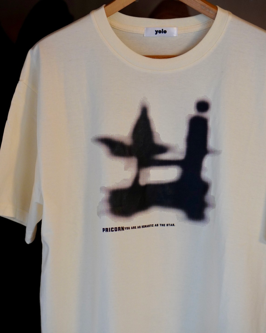 シャドウプリントTシャツ NA1014
