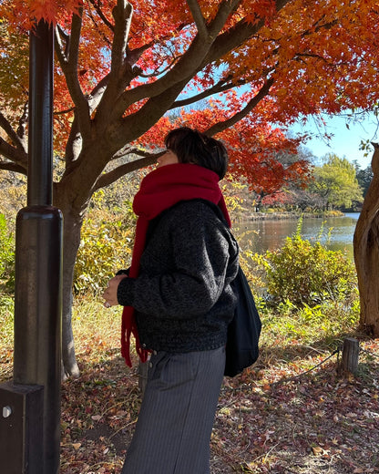 【即納】カラービックマフラー RG5013