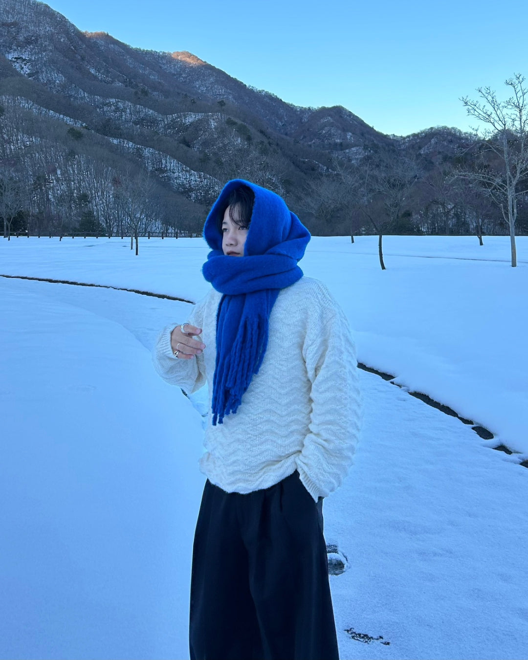 【即納】カラービックマフラー RG5013