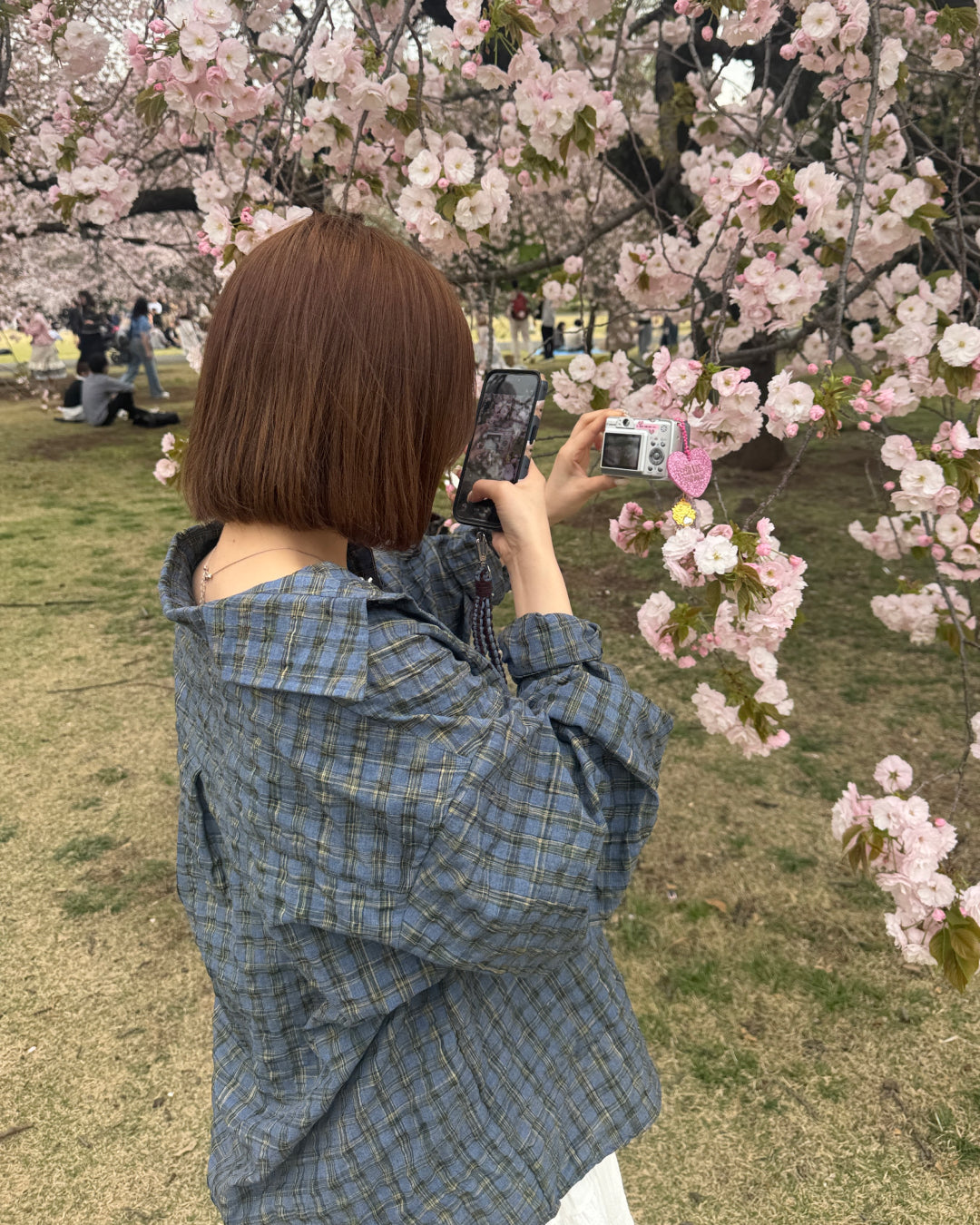 チェックルーズフリルシャツ SA0150