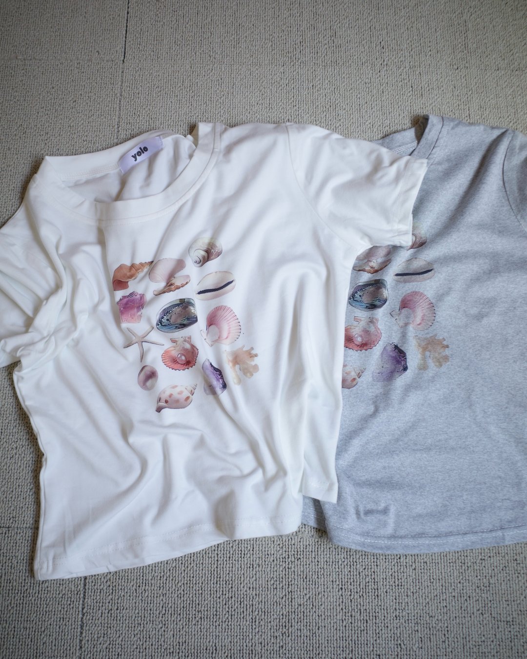 シャルグラッフィックコンパクトT SR0164